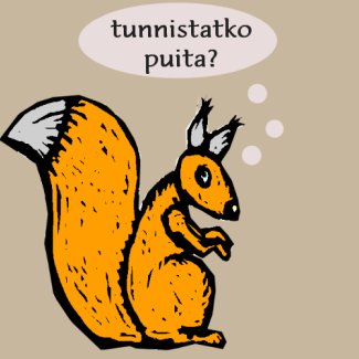 kurre1.jpg